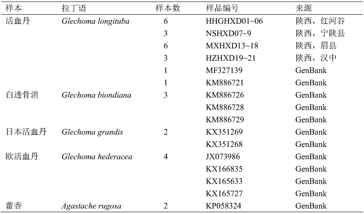 Method for identifying variety of glechoma longituba by utilizing ITS2 sequence