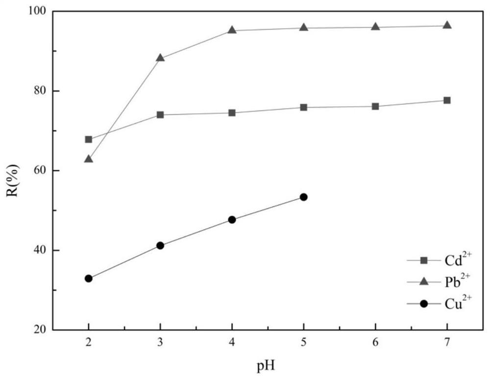 Sodium alginate adsorption support and preparation method and application thereof