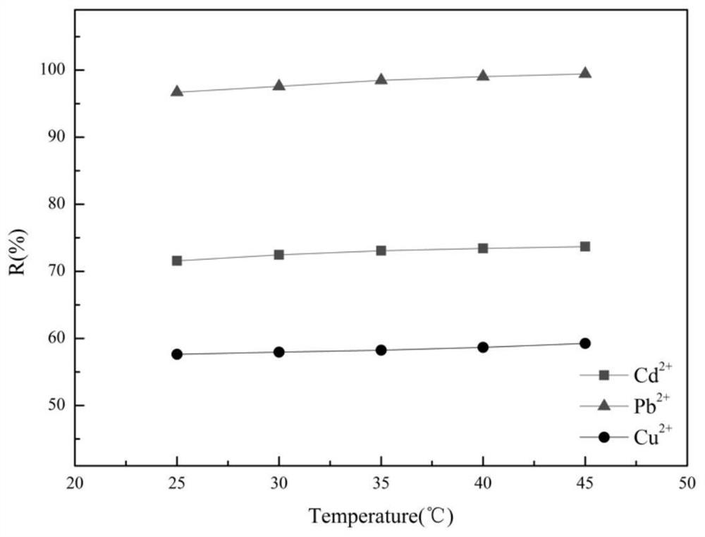 Sodium alginate adsorption support and preparation method and application thereof