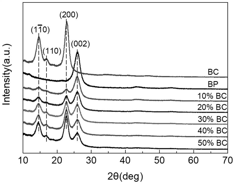 Bacterial cellulose modified Bucky paper as well as preparation method and application thereof