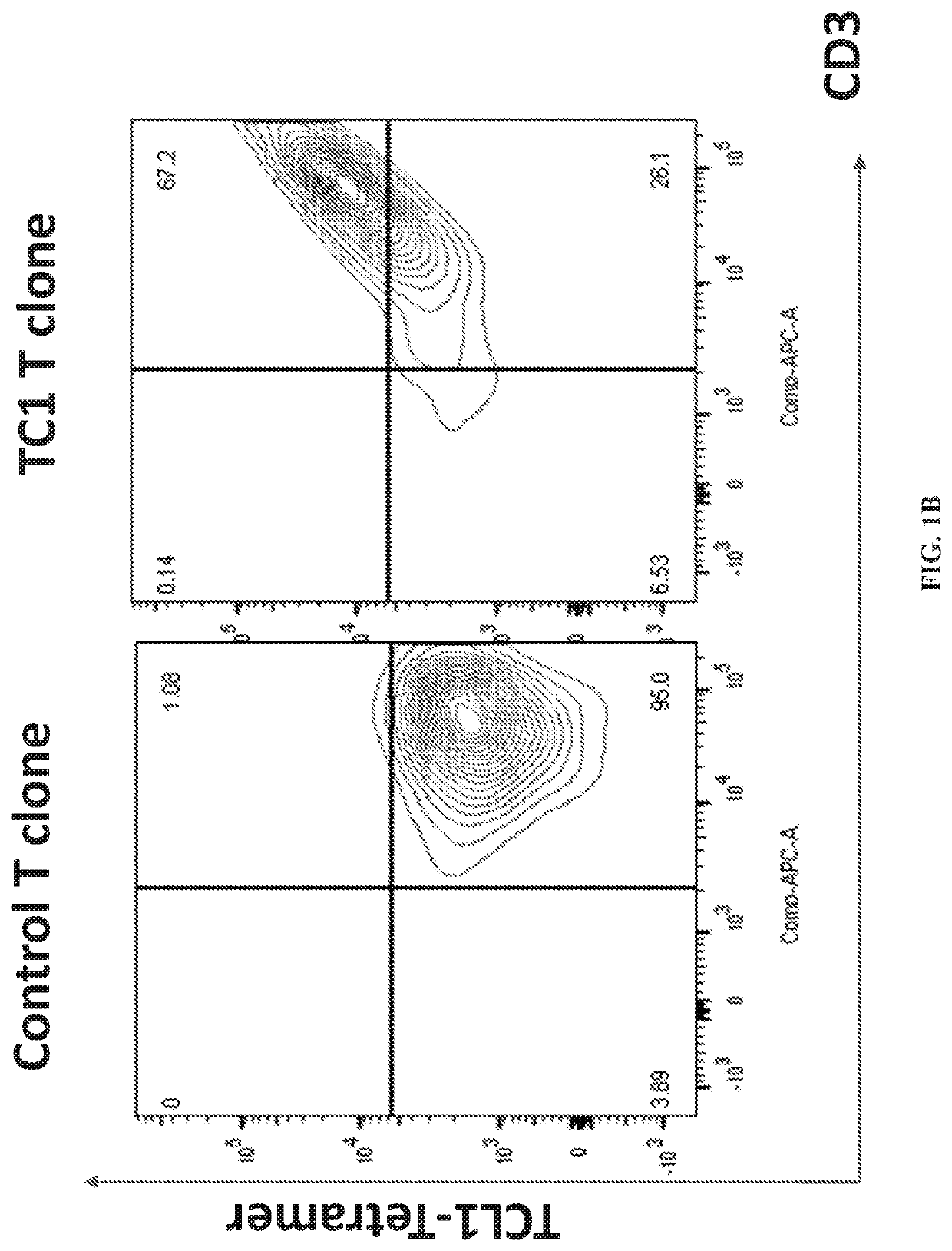 T cell receptors for immunotherapy