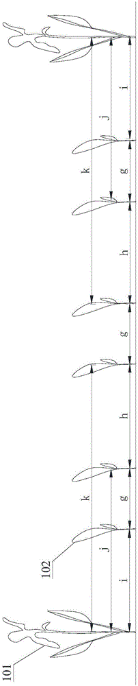 Fertilizing method for cotton planted in jujube and cotton intercropping mode