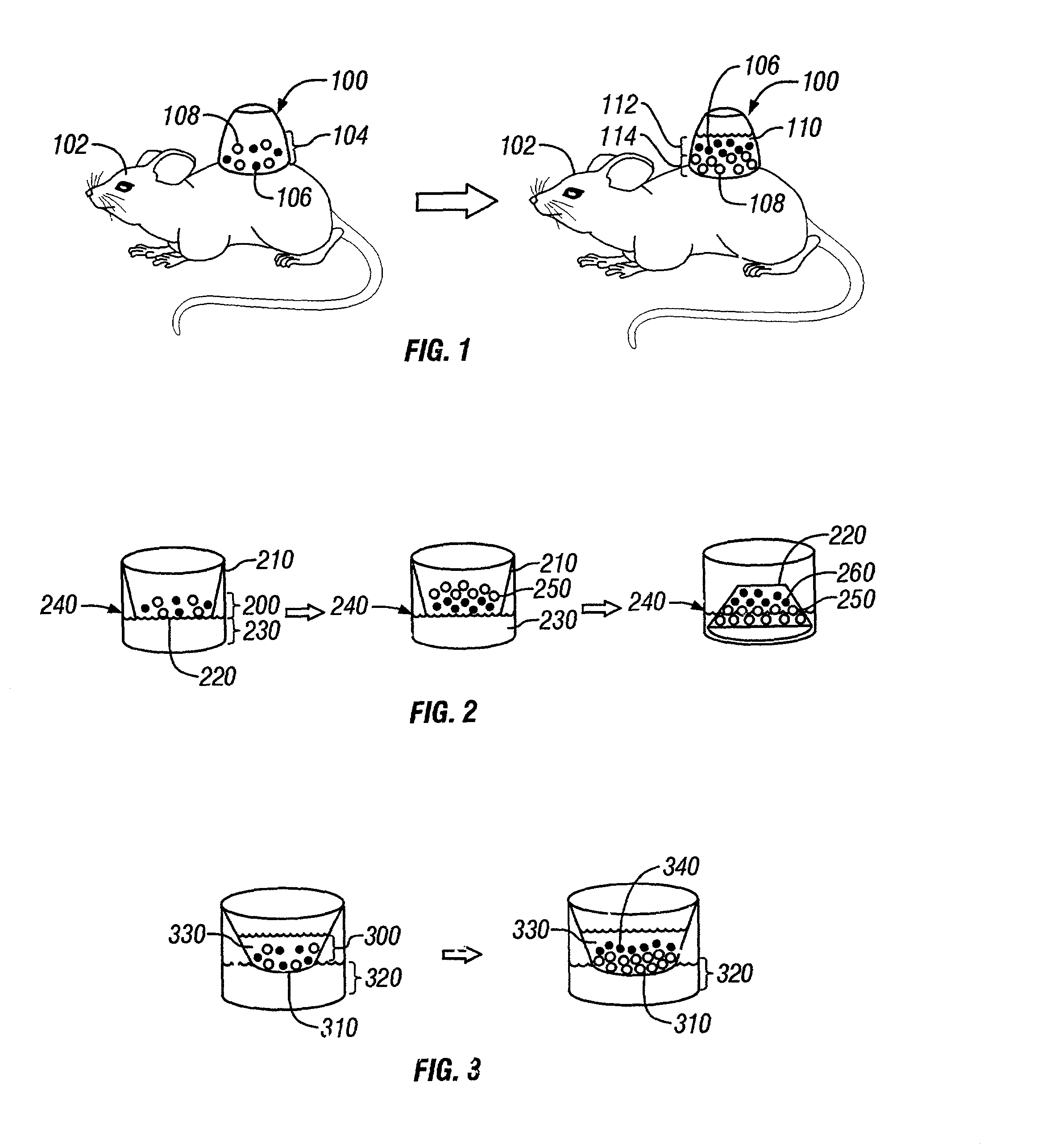 In vitro synthesis of a layered cell sorted tissue