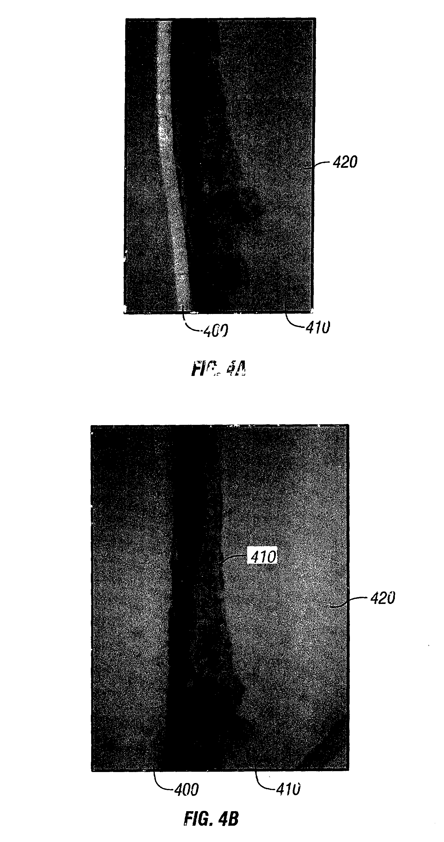 In vitro synthesis of a layered cell sorted tissue