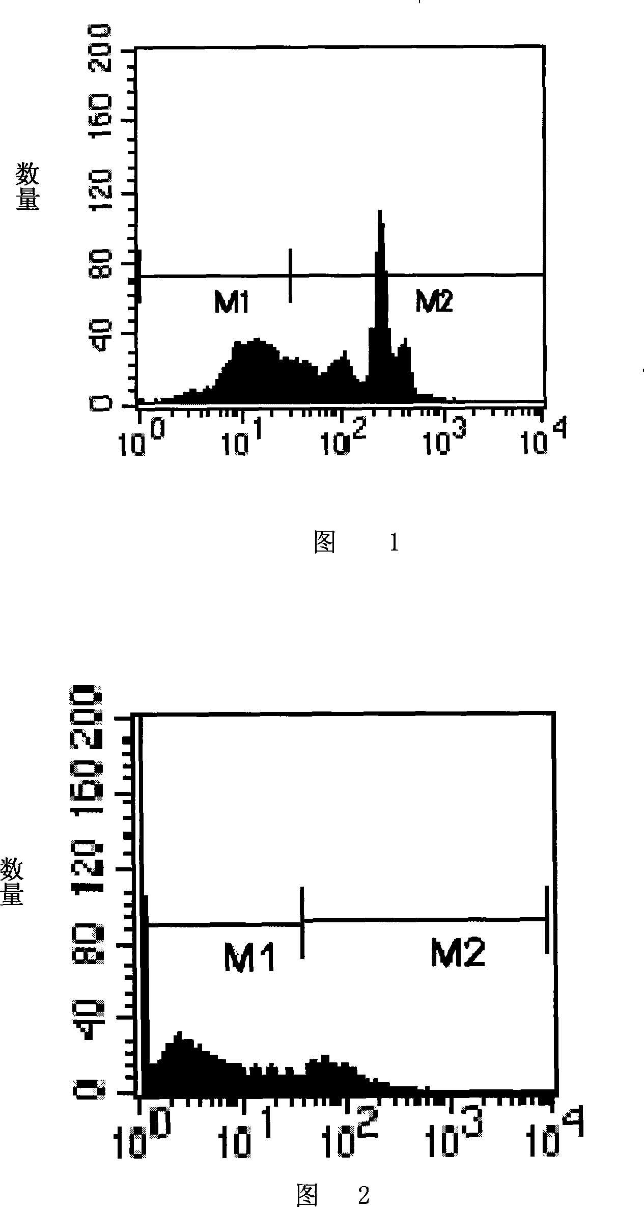 Complexes for target killing tumor cell, preparation and application thereof