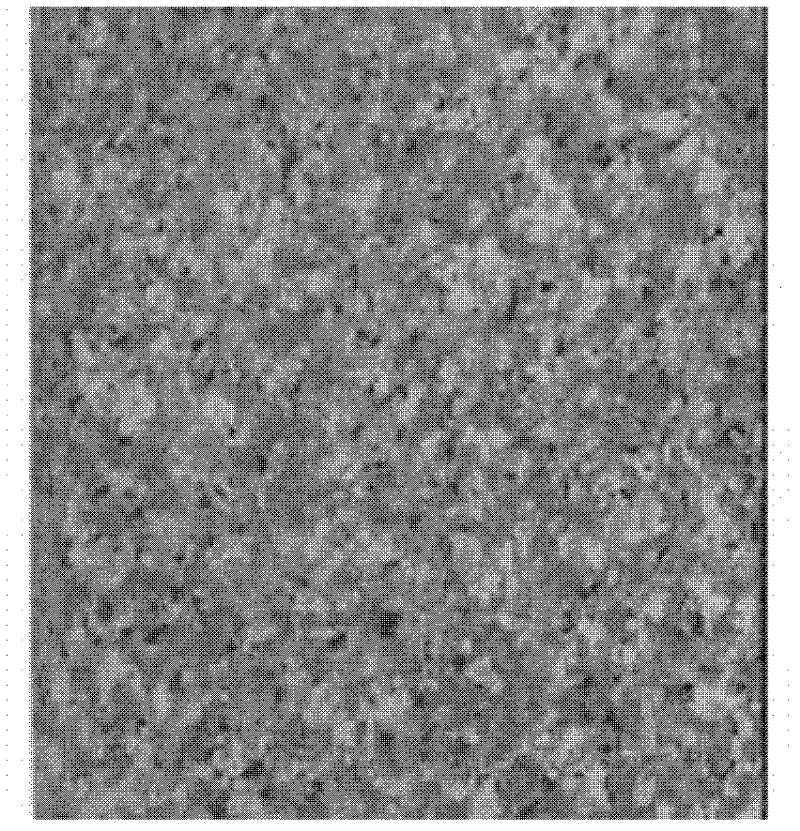 Environment-friendly water-based imitation stone coating and its raw materials, preparation method and application