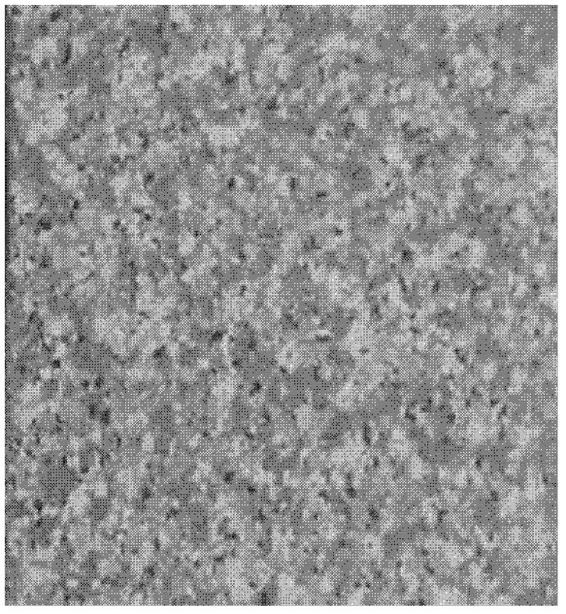 Environment-friendly water-based imitation stone coating and its raw materials, preparation method and application