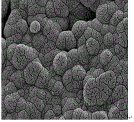 Acidic electroplating zinc-nickel alloy electrolyte, preparation method and electroplating method