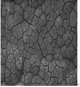 Acidic electroplating zinc-nickel alloy electrolyte, preparation method and electroplating method