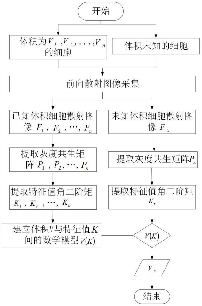 Label-free cell two-dimensional scattering image inversion method based on gray level co-occurrence matrix