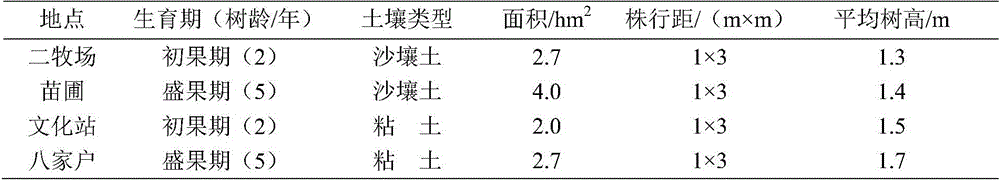 Lycium barbarum soil detection and formula fertilization method