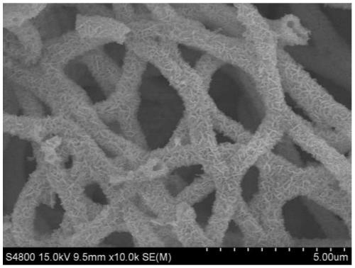 Preparation method of Ni single atom/oxygen defect copper tungstate photo-anode