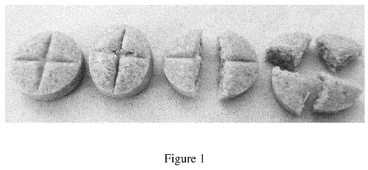 Oral compositions and the preparation methods thereof