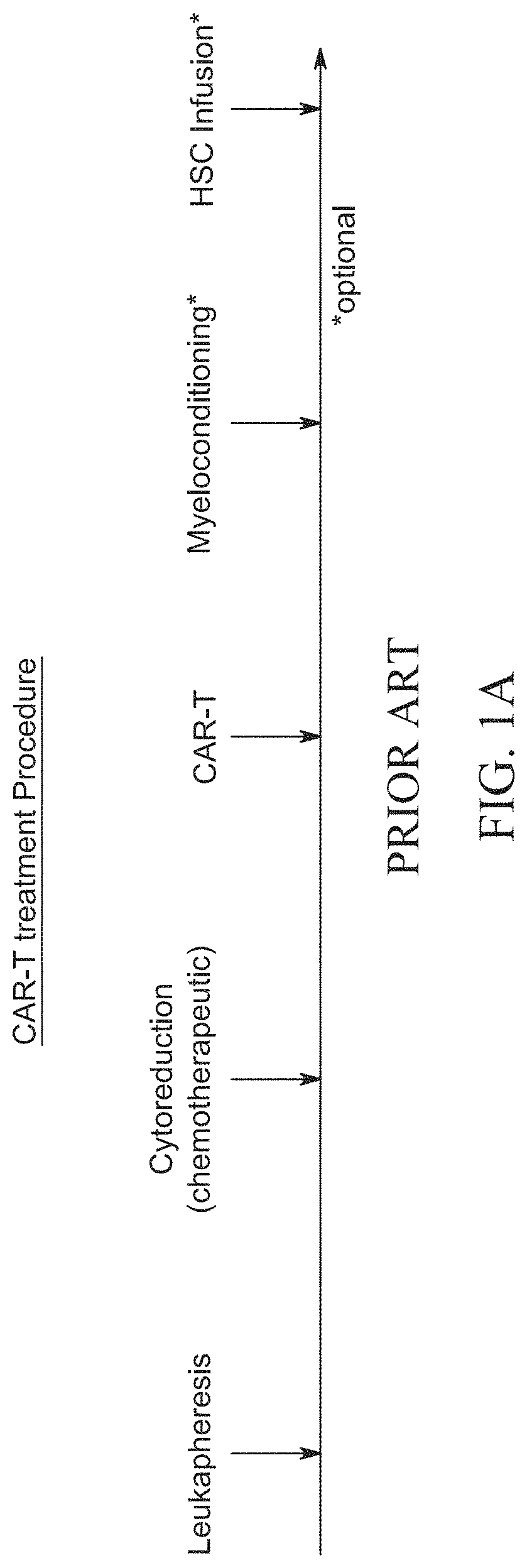 Compositions and methods of immunodepletion for the treatment of malignant and non-malignant hematological diseases