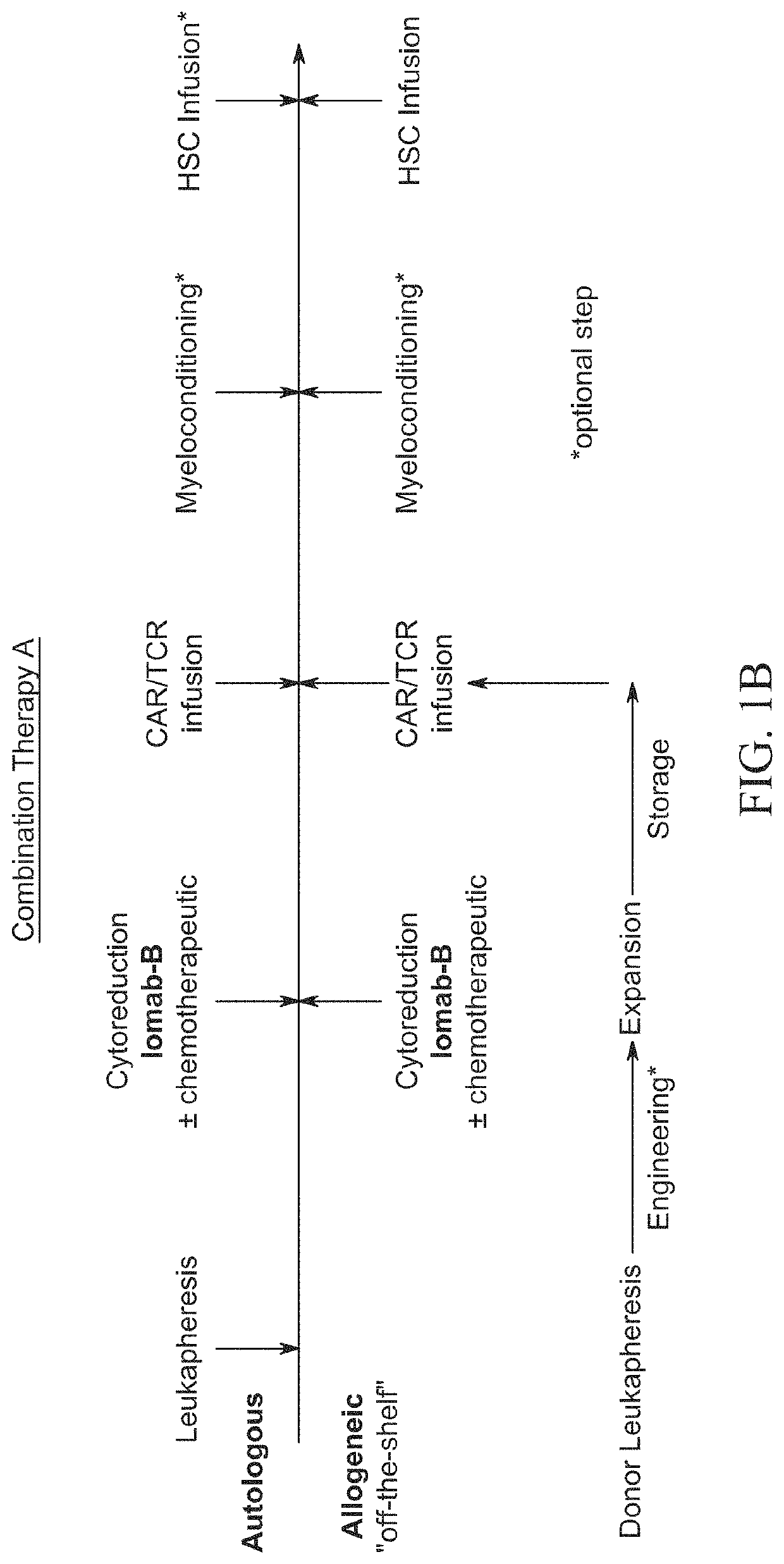 Compositions and methods of immunodepletion for the treatment of malignant and non-malignant hematological diseases