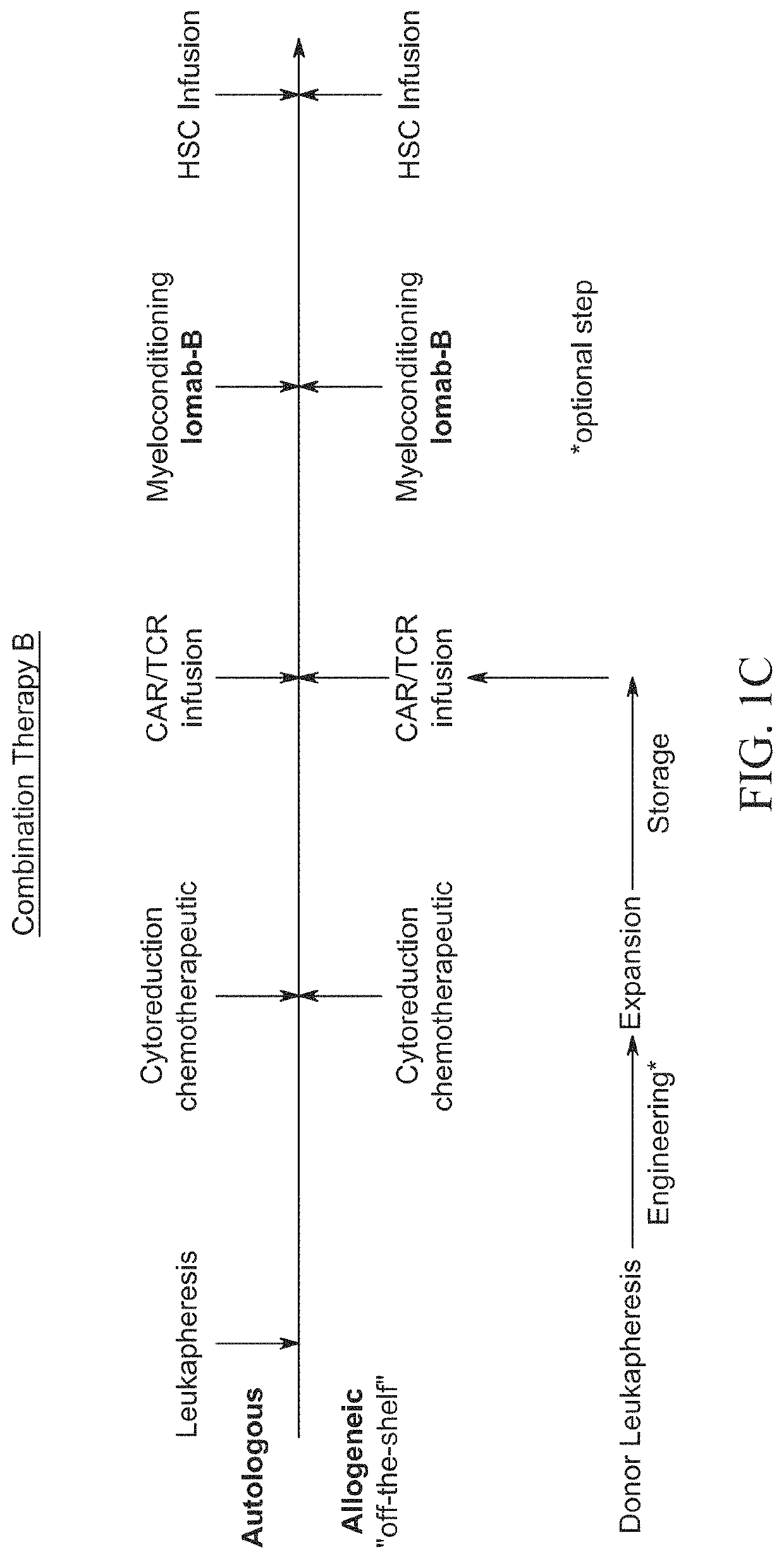 Compositions and methods of immunodepletion for the treatment of malignant and non-malignant hematological diseases