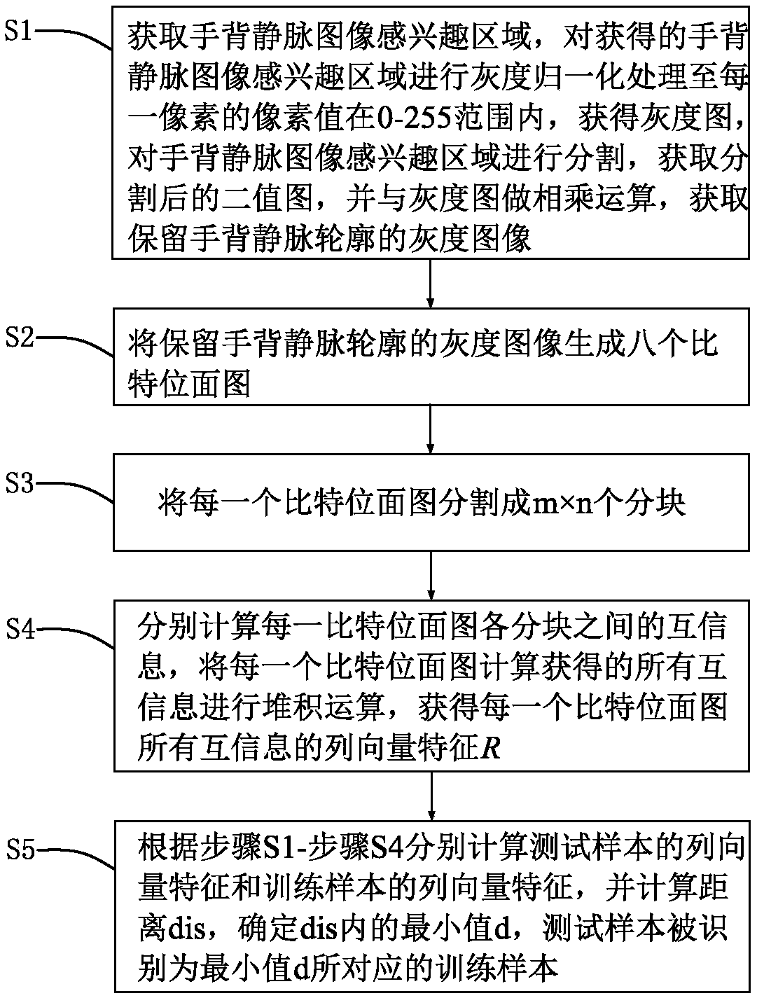 Method and system for recognizing dorsal hand vein based on in-bit-plane block mutual information