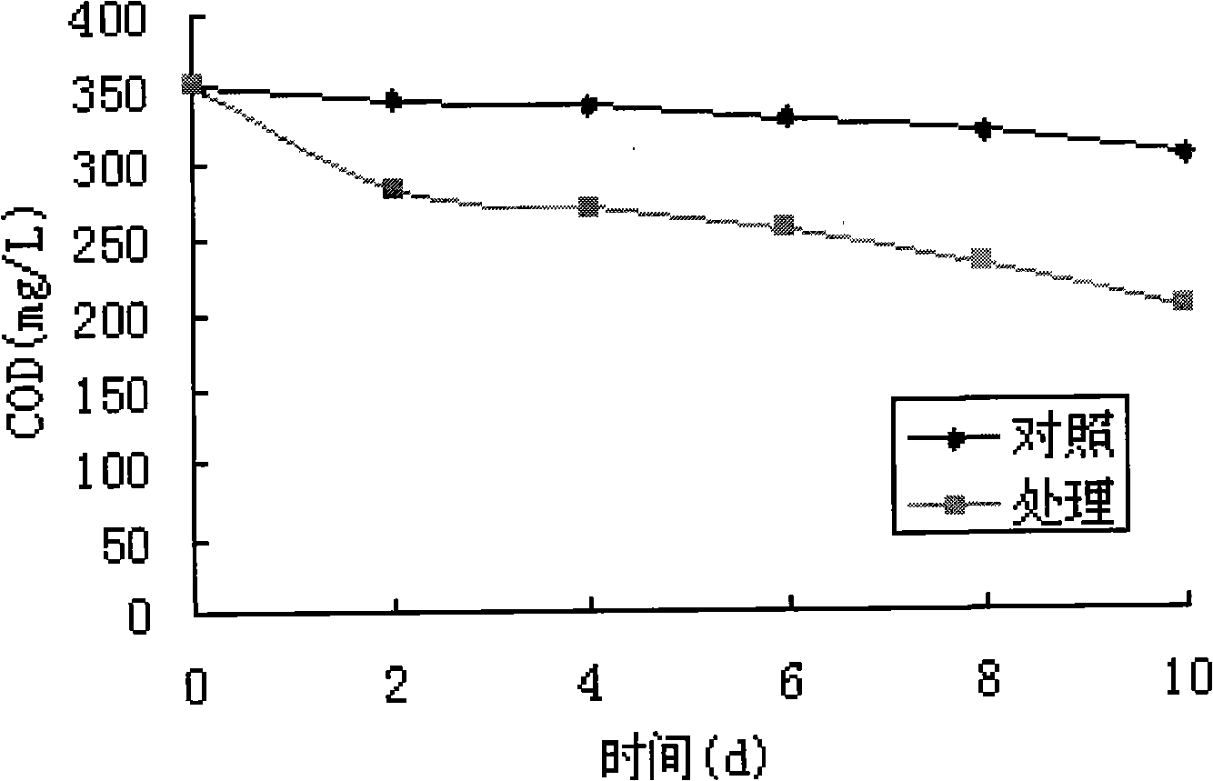 Microorganism water purifying assistant, and preparation and use thereof