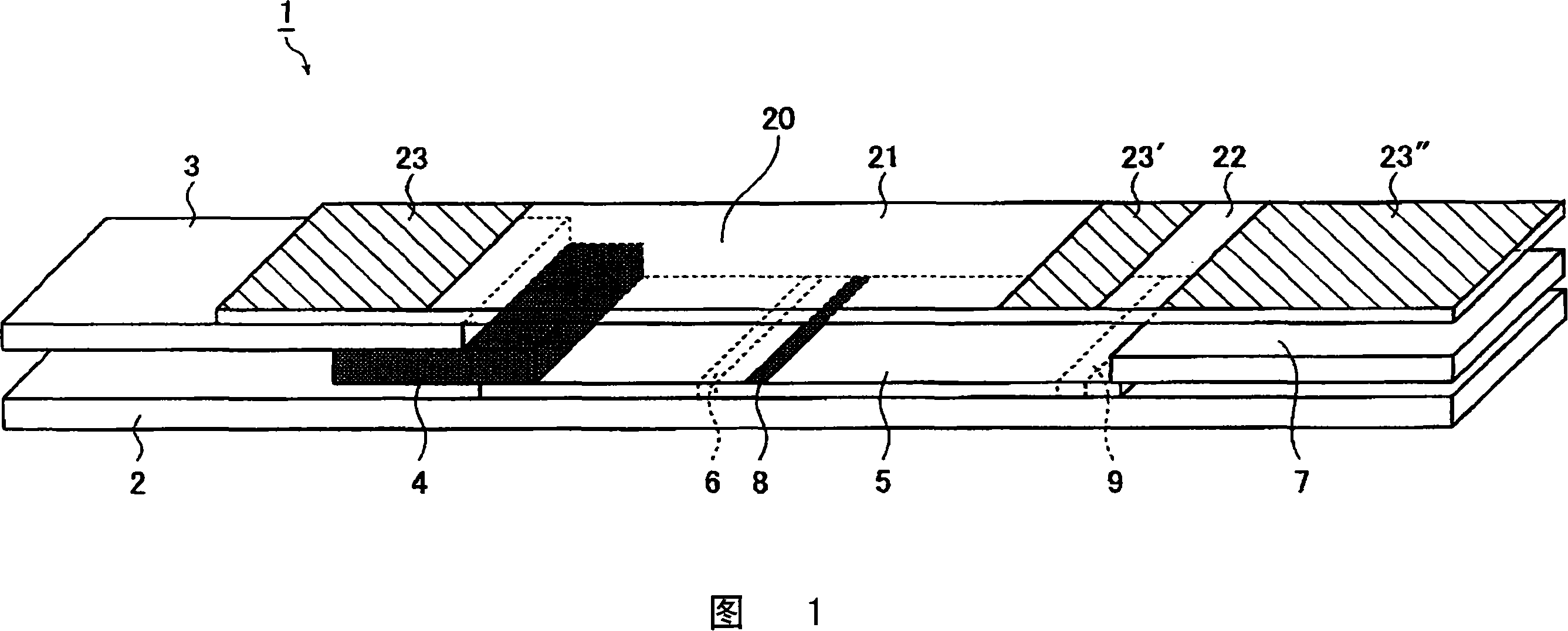 Immunochromatographic test instrument and semiquantitative method using the same