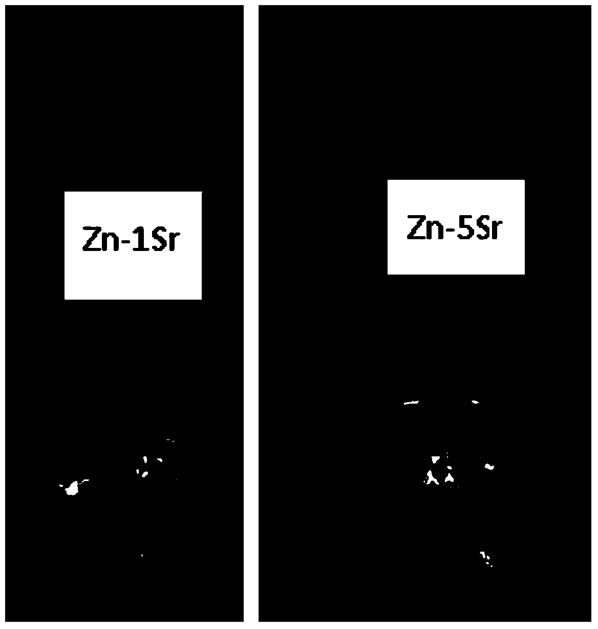 Zn-Sr series zinc alloy as well as preparation method and application of Zn-Sr series zinc alloy