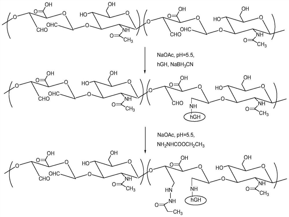 High-activity hyaluronic acid-polypeptide conjugate as well as preparation method and application thereof