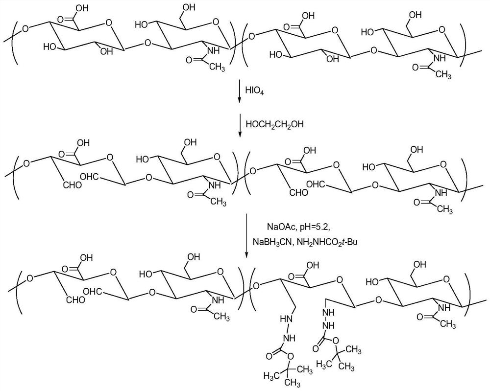 High-activity hyaluronic acid-polypeptide conjugate as well as preparation method and application thereof