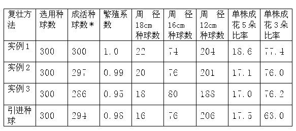 Lilium oriental hybrids seedball rejuvenation method