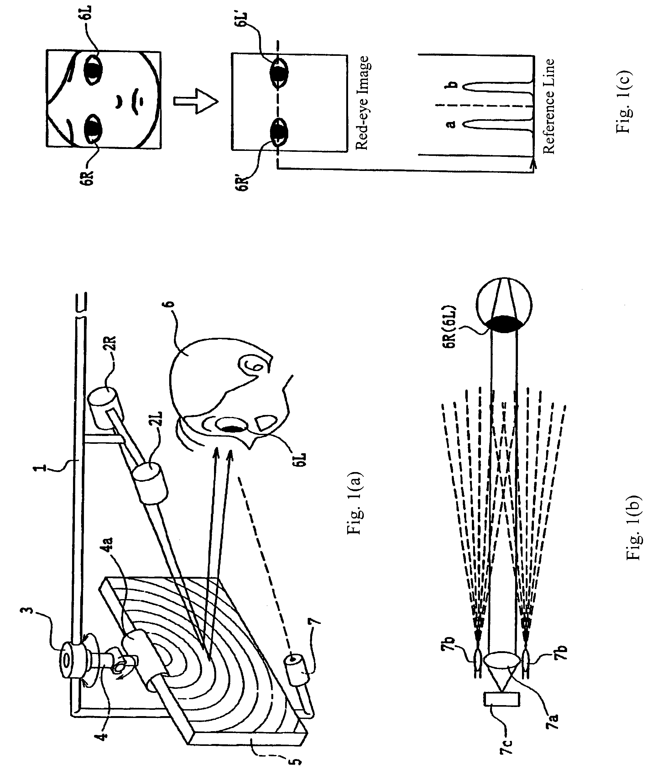 Three-dimensional observation apparatus