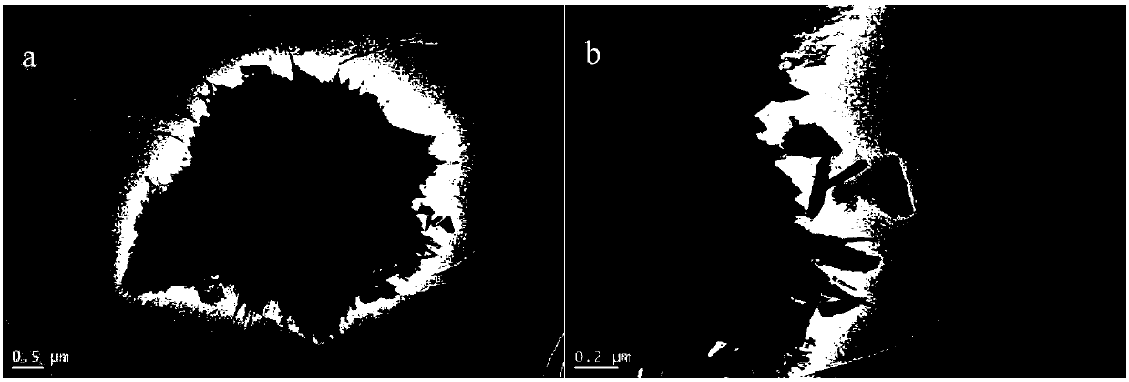 Titanium dioxide-copper oxide nano compound and preparation method and application thereof