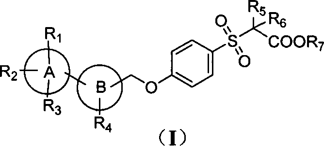 Novel sulphone acid derivative, preparation method thereof and application of novel sulphone acid derivative as medicine