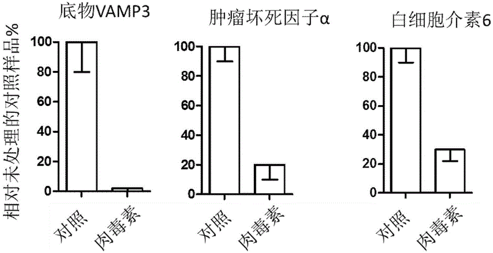 Virus carrier particles and construction method and application thereof