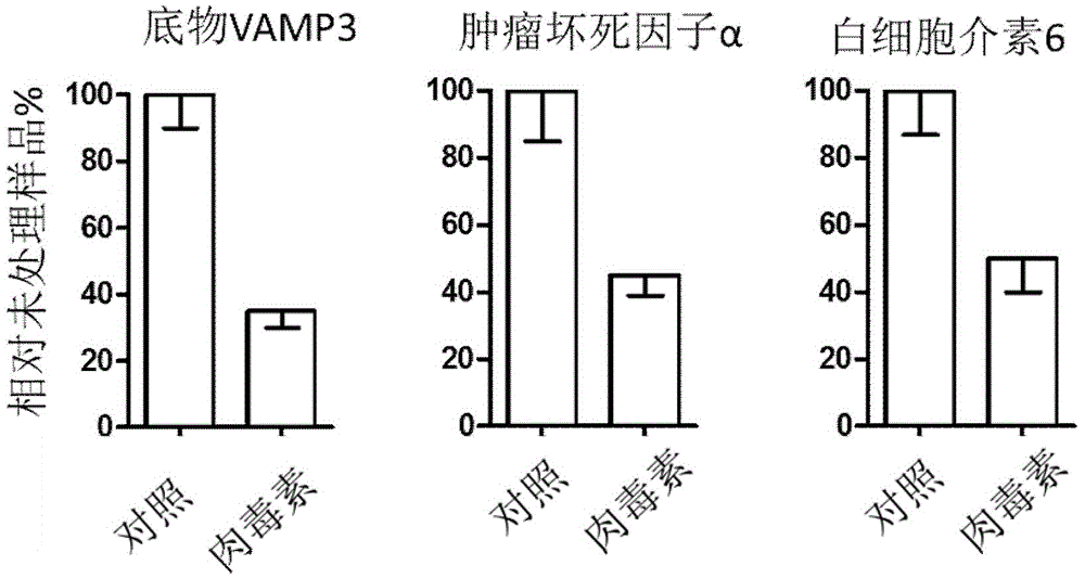 Virus carrier particles and construction method and application thereof