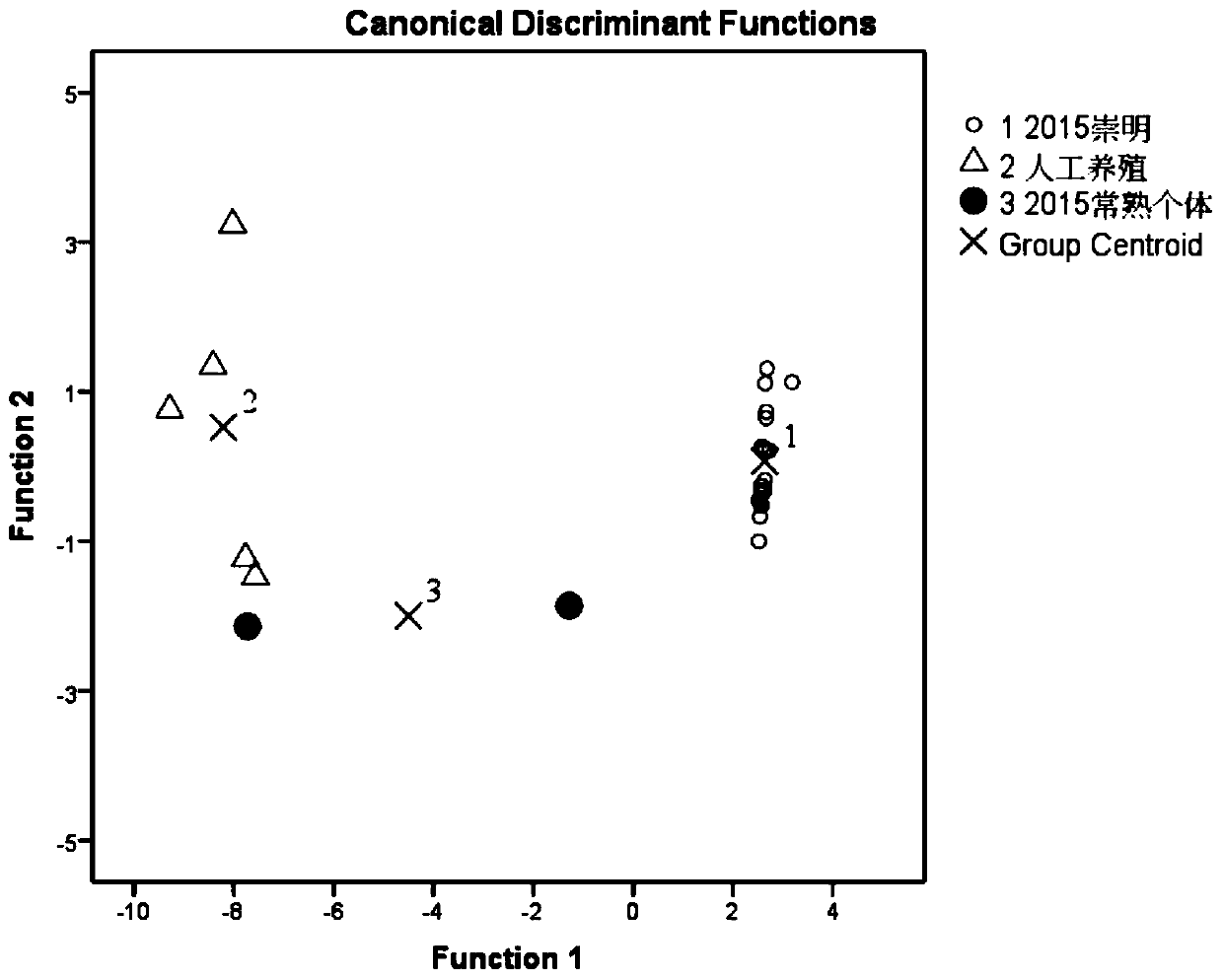 Pretreatment method of microchemical analysis of pectoral fin strip of Chinese sturgeon