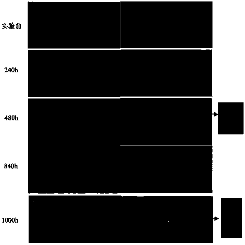 Sealing agent for micro-arc oxidation film