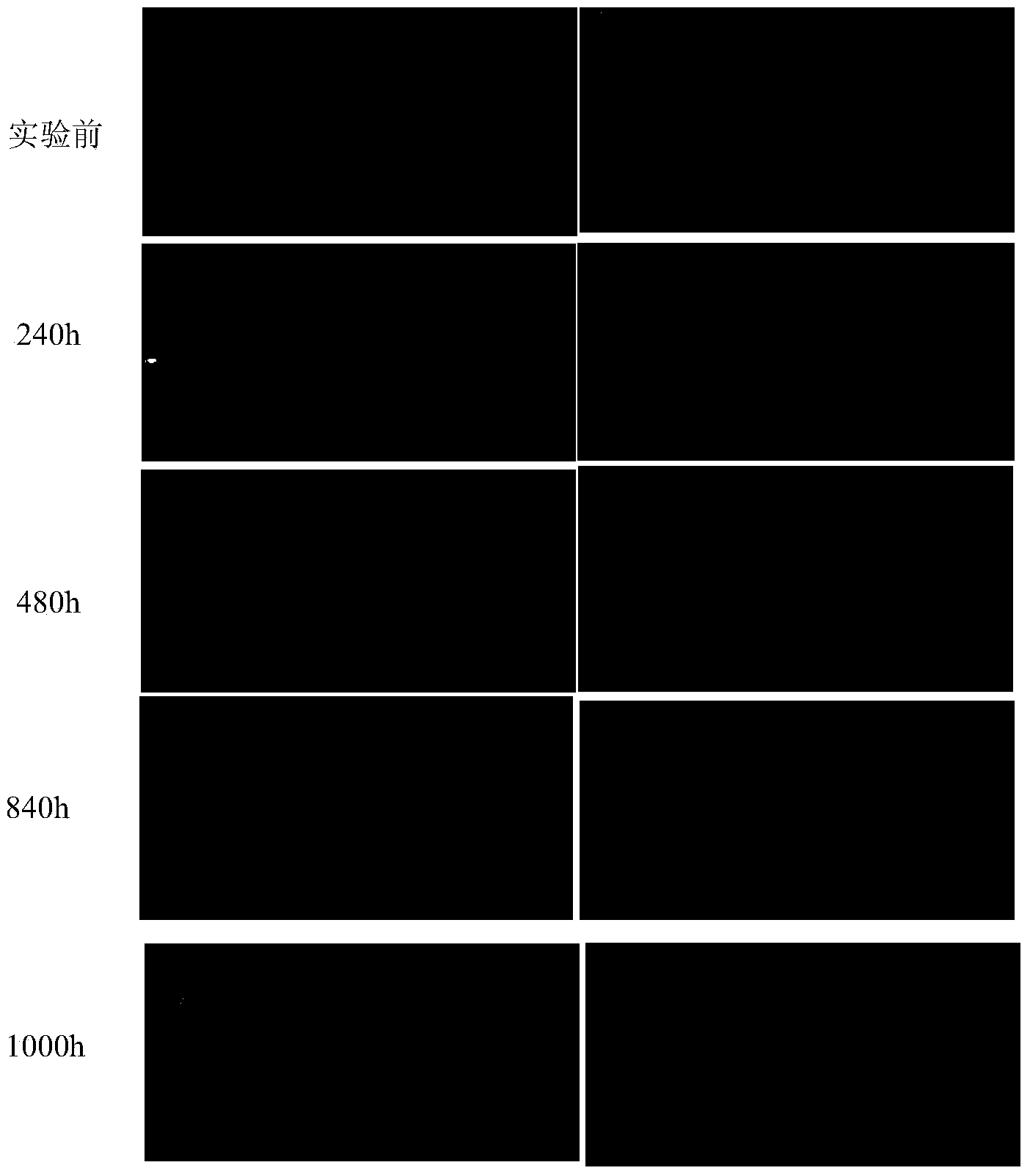 Sealing agent for micro-arc oxidation film