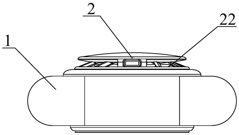 Portable air purification device