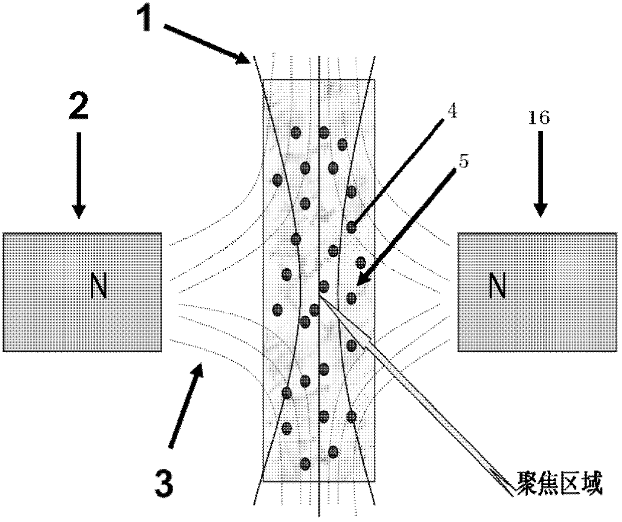 Magnetic nano particle magnetic-induction thermal focusing system based on complex magnetic field