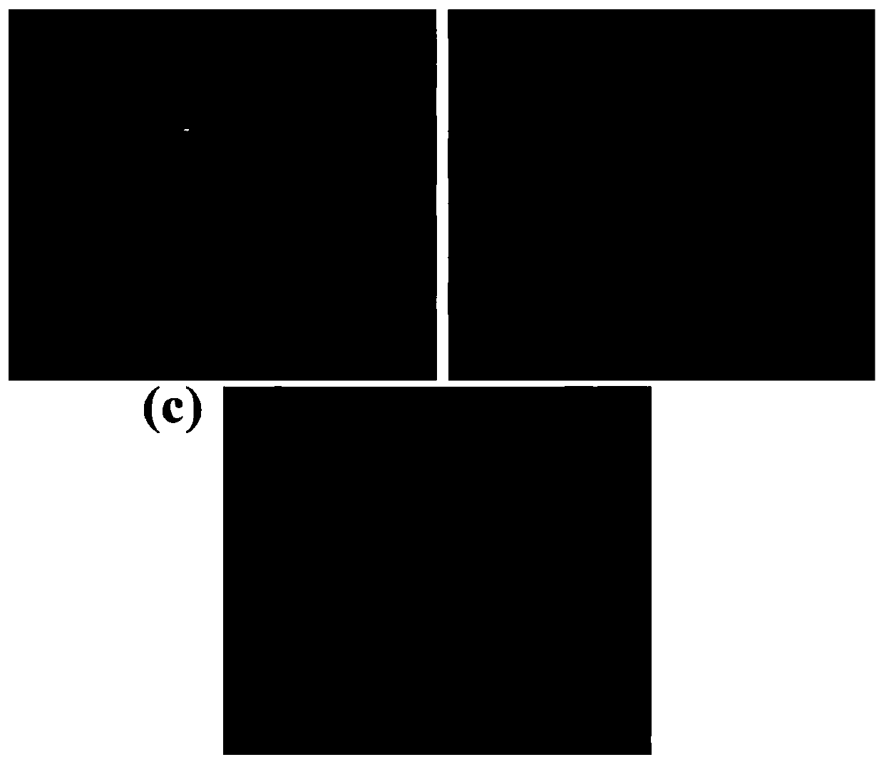 Method for repairing ternary positive electrode material with deteriorated performance and acquired ternary positive electrode material