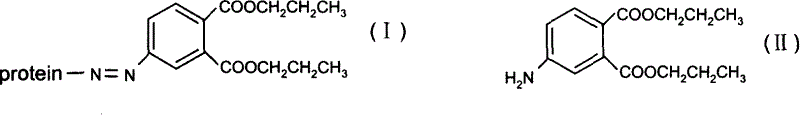 Dipropyl phthalic acid artificial antigen and its preparation method