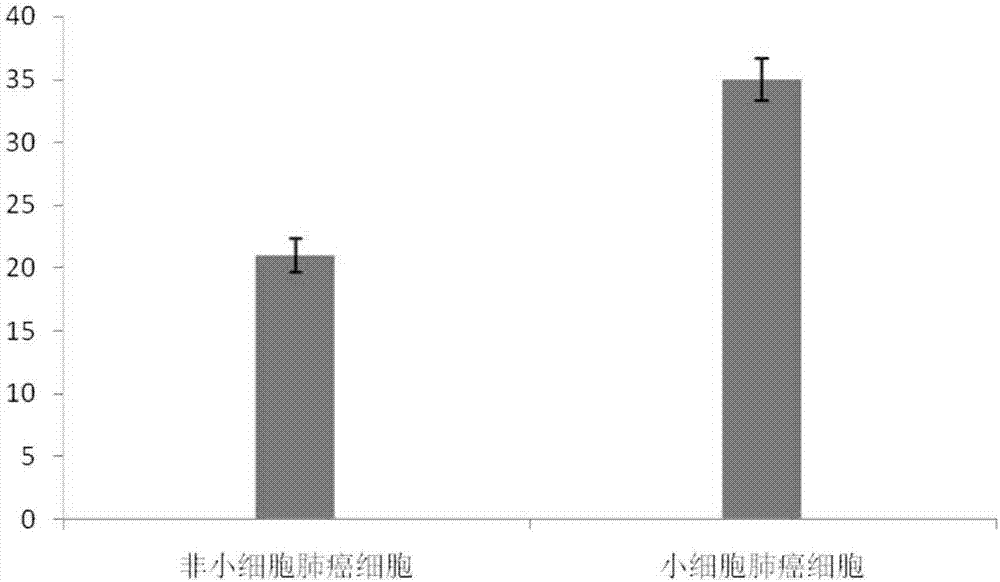 Composition for treating lung cancer