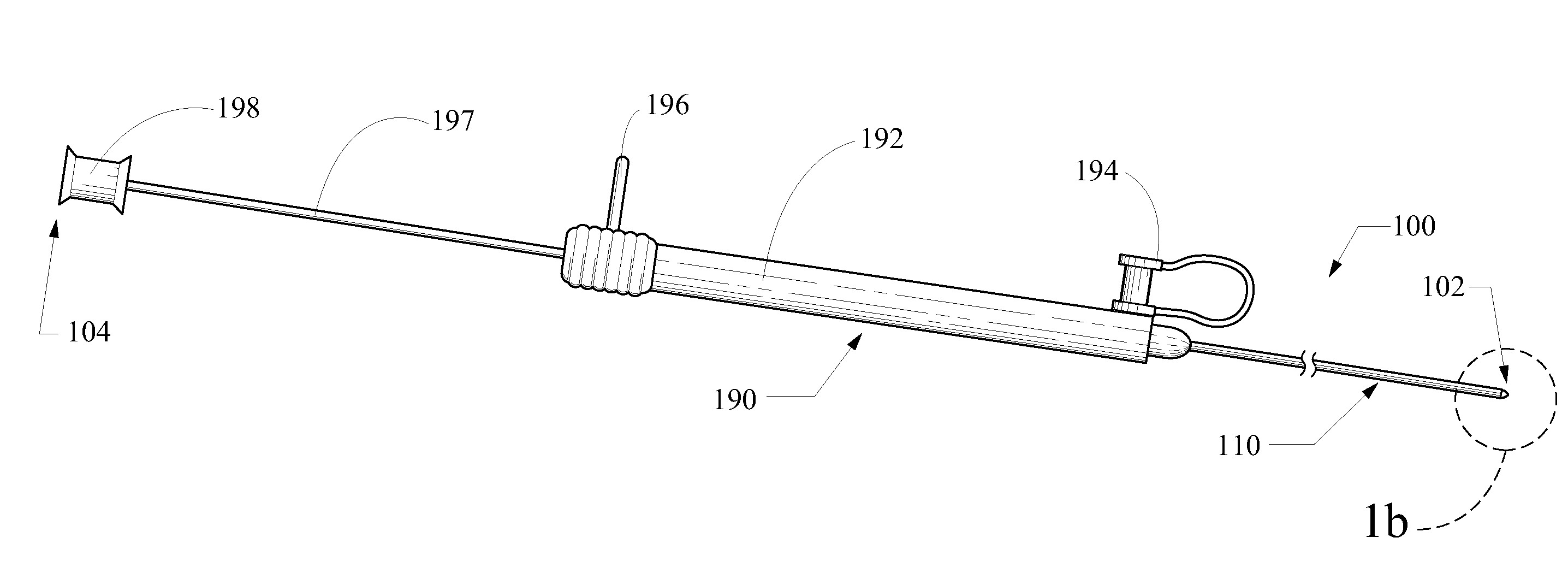 Expandable Tip Delivery System For Endoluminal Prosthesis