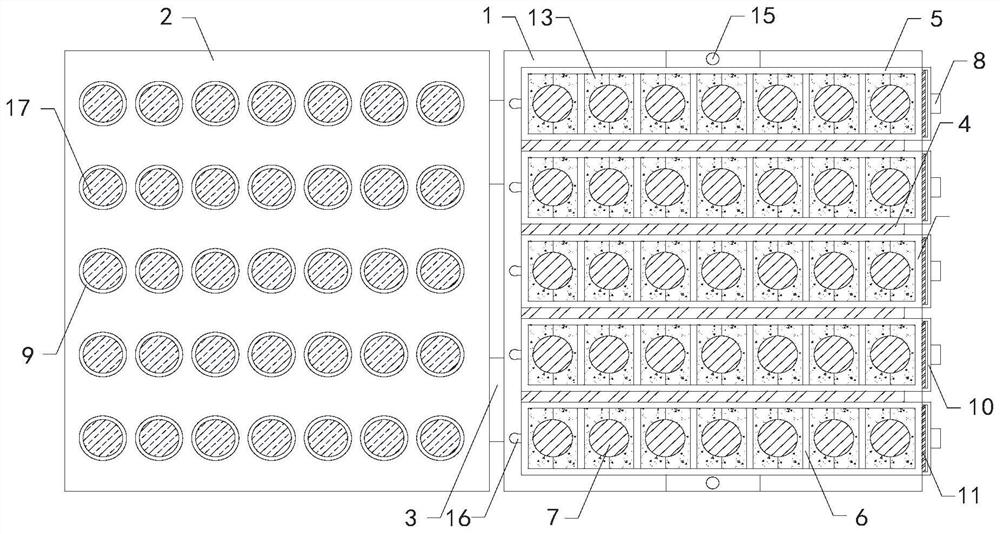 Kit for detecting blood disease related gene variation