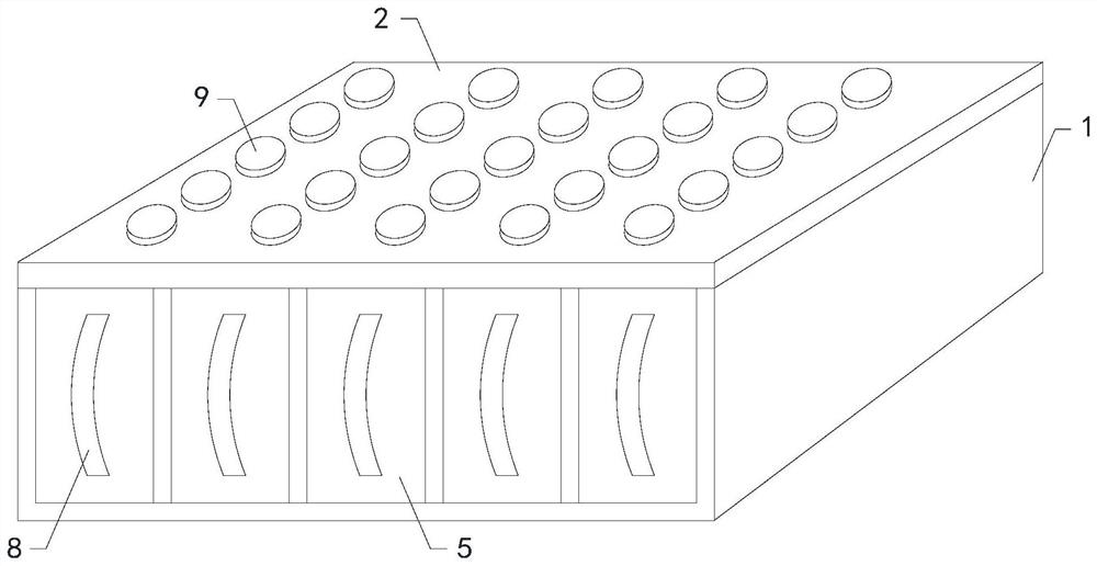 Kit for detecting blood disease related gene variation