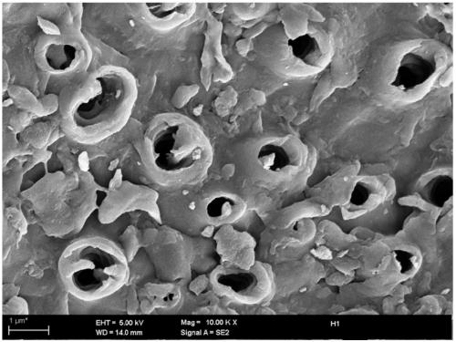 Preparation method of nitrogen doping pine nut shell based porous carbon material and application