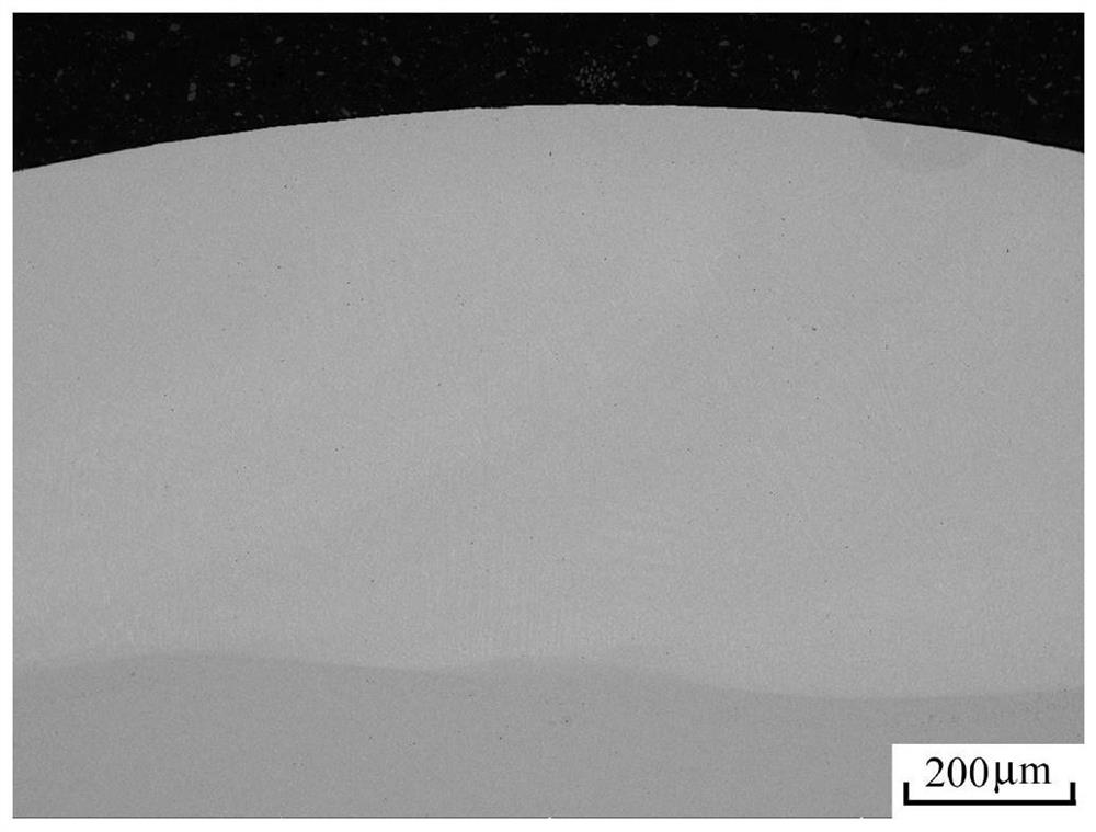 Coating for high-temperature chlorine corrosion protection and preparation method thereof