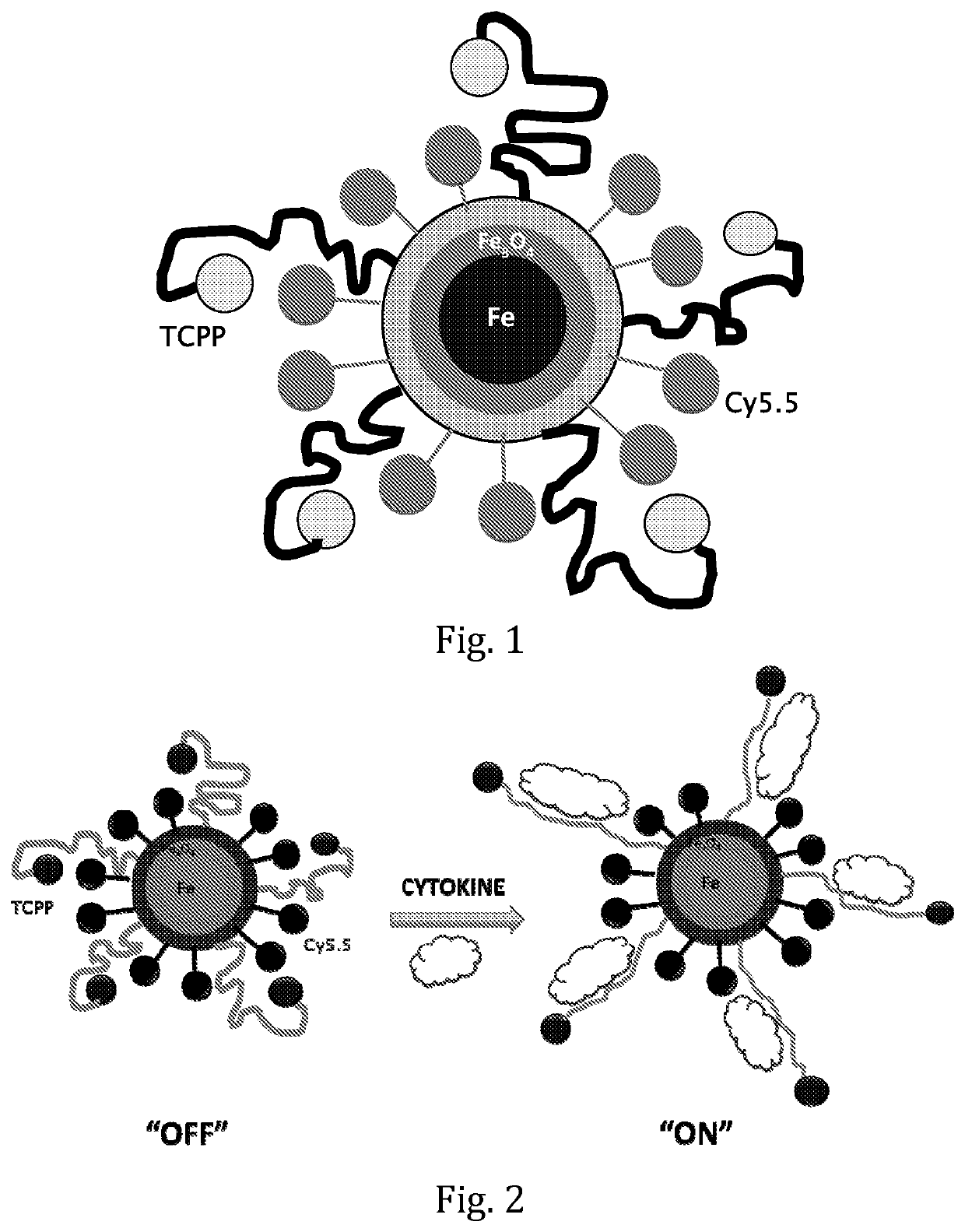 Nanosensors and methods for detection of biological markers