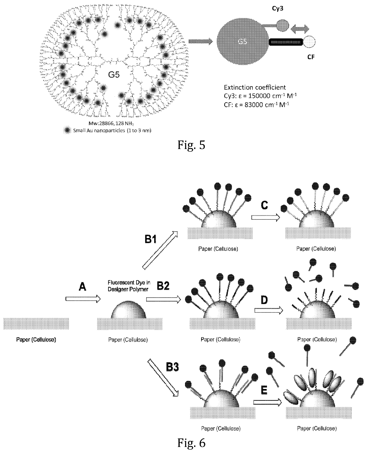 Nanosensors and methods for detection of biological markers