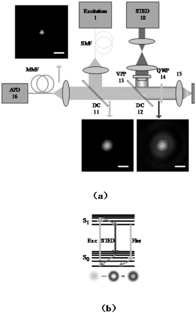 Multiphoton subpulse STED-SPIM microscopic system realized by single wavelength