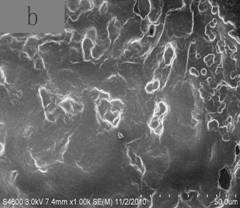 Nanographite additive for water-based cutting fluid and preparation method thereof