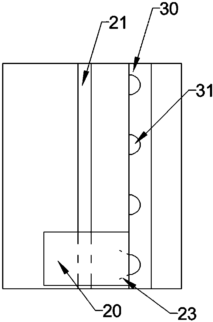 Walnut seeding device